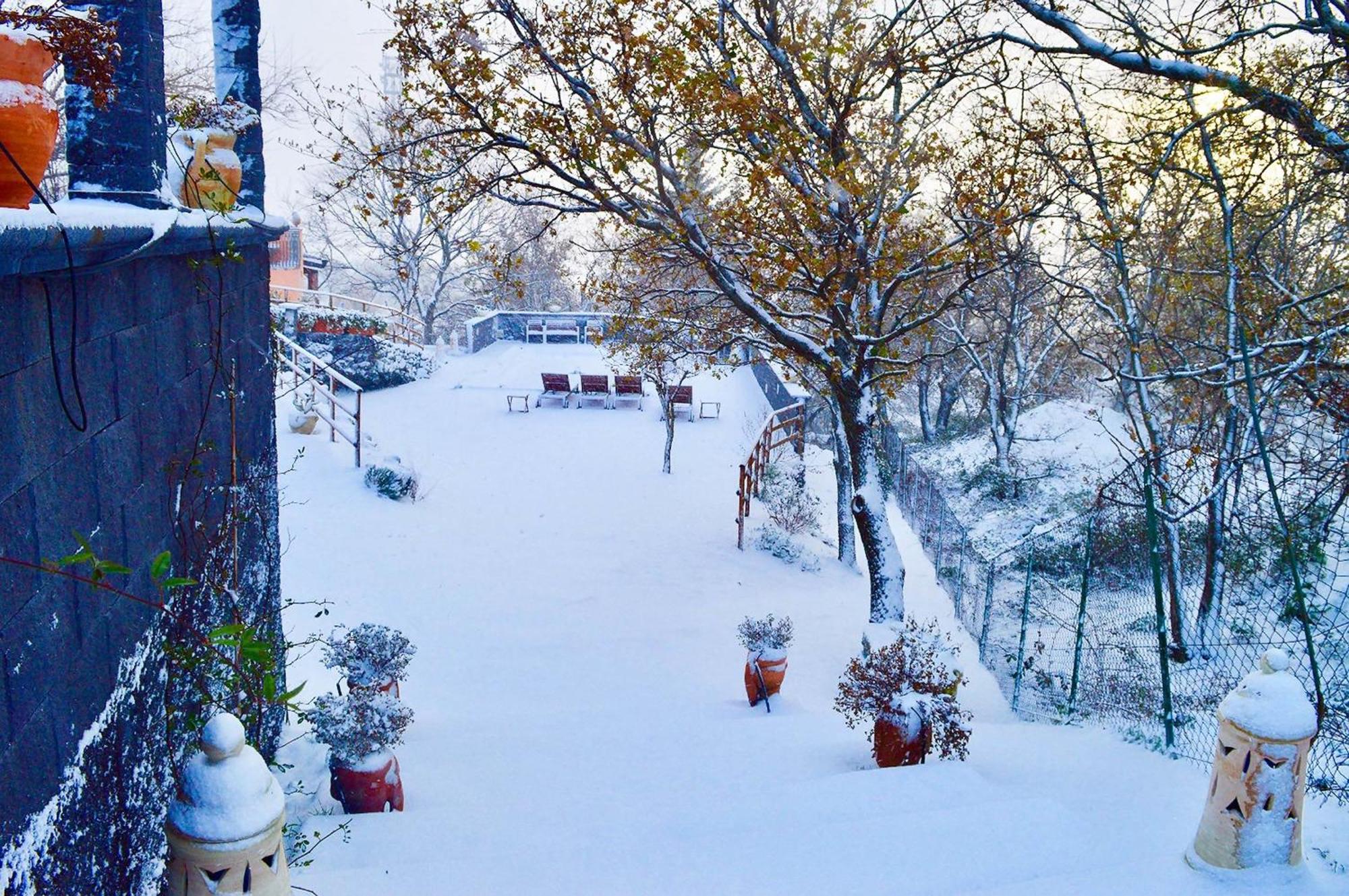Villa Del Gelso Chalet Nel Parco Delletna Mascali Kültér fotó
